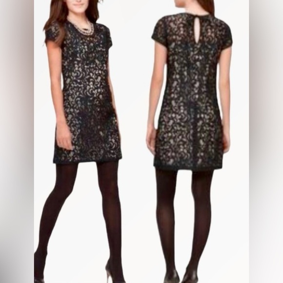 LOFT Dresses & Skirts - ANN TAYLOR LOFT Black Lace Overlay Short Sleeve Mini Dress